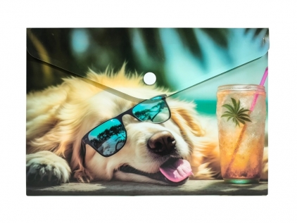Alte rechizite de scoala Mapă plastic A5 clapă cu buton personalizată Panta Plast Chillout Dog