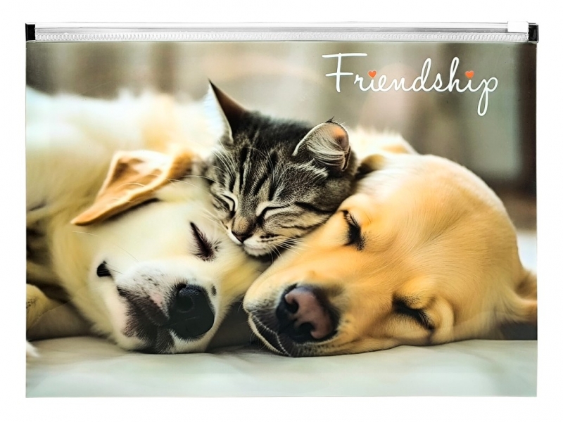 Friendship