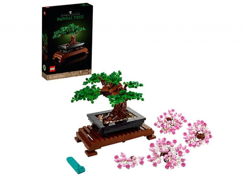 Bonsai Tree
