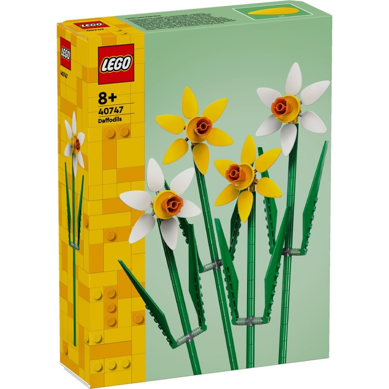 Daffodils