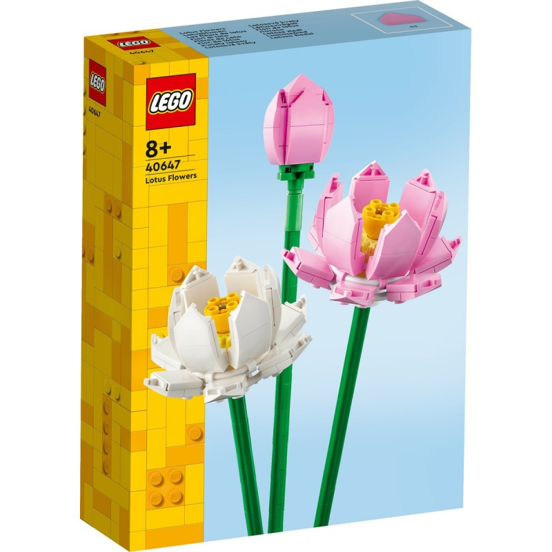Lotus Flowers