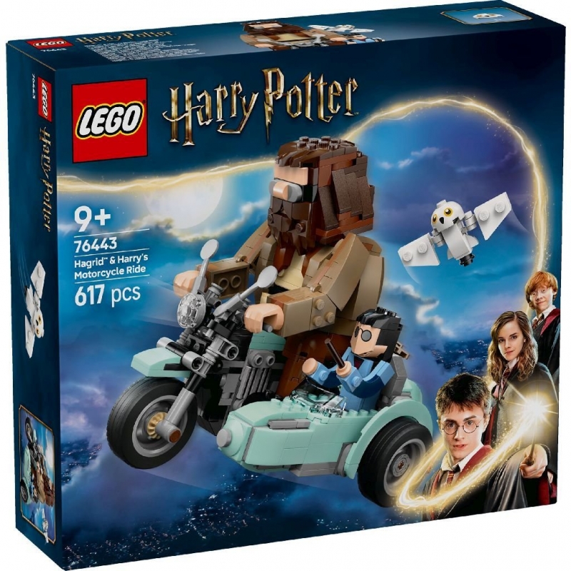 Hagrid and Harry